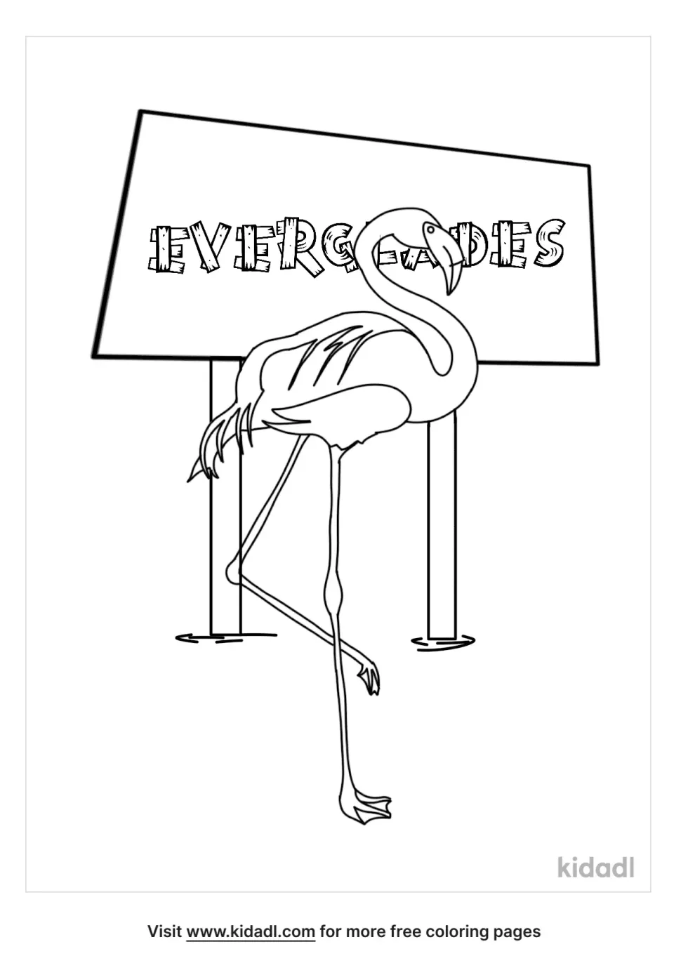 Everglades Coloring Page