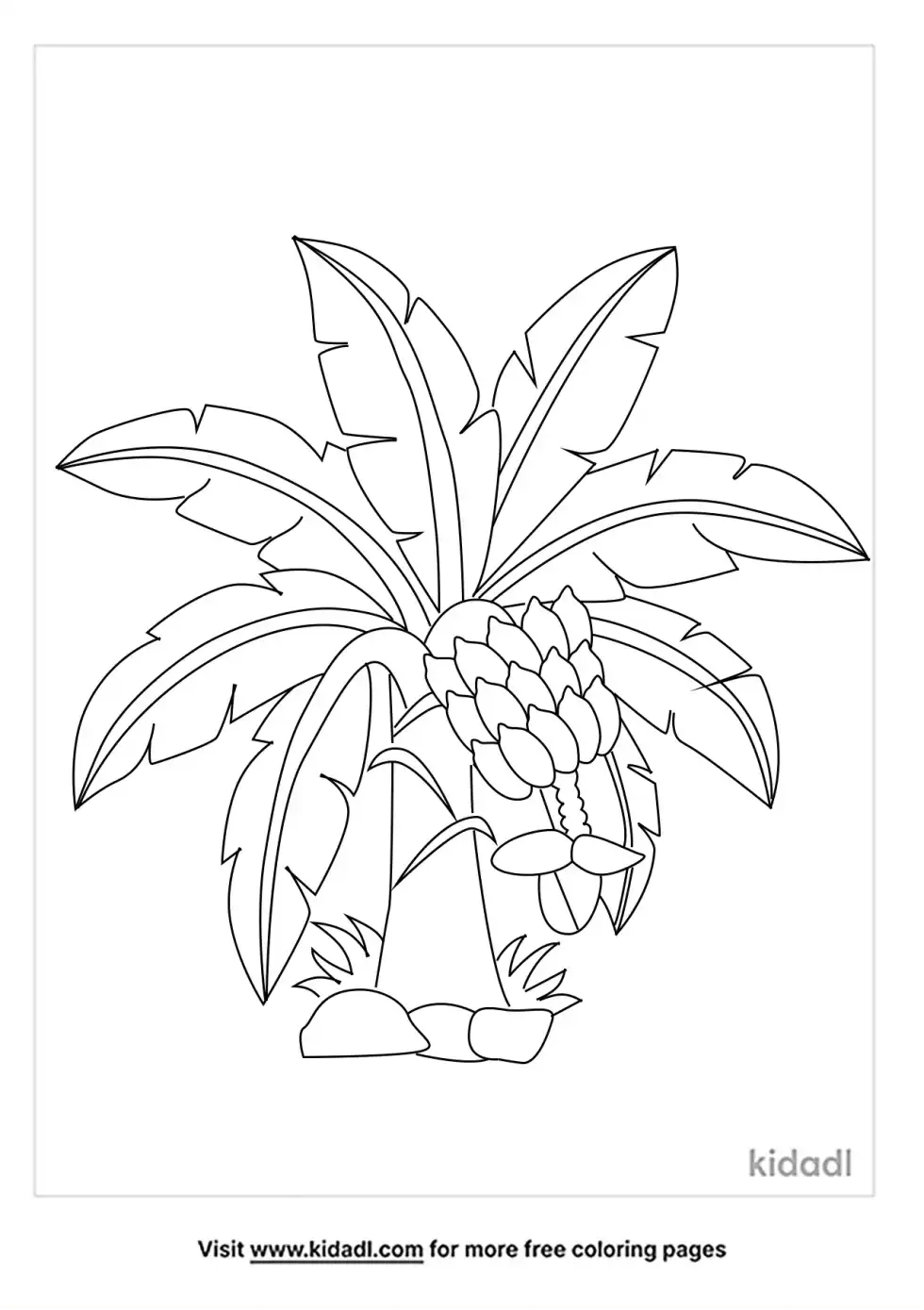 Banana Tree Coloring Page