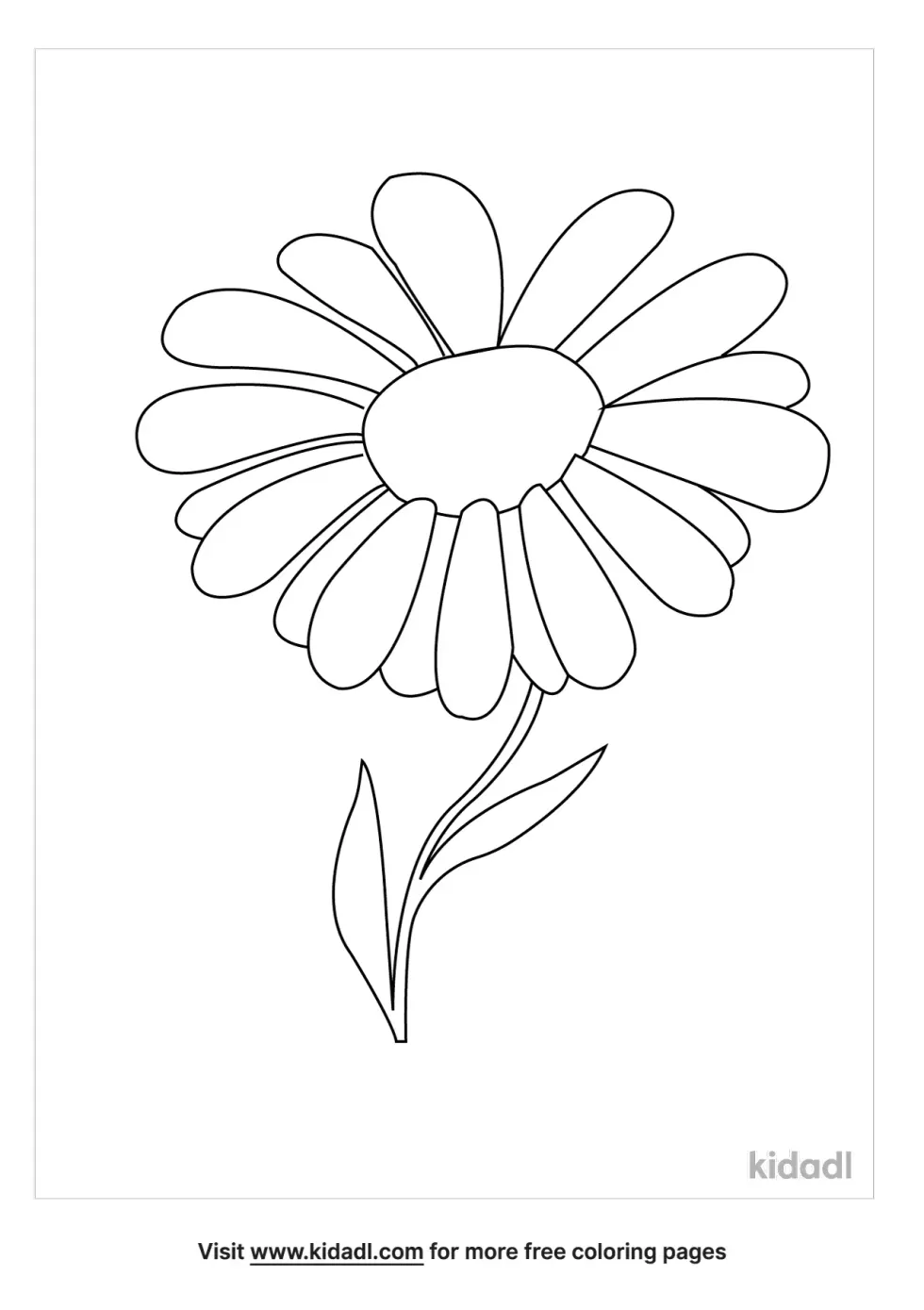 Chamomile Coloring Page