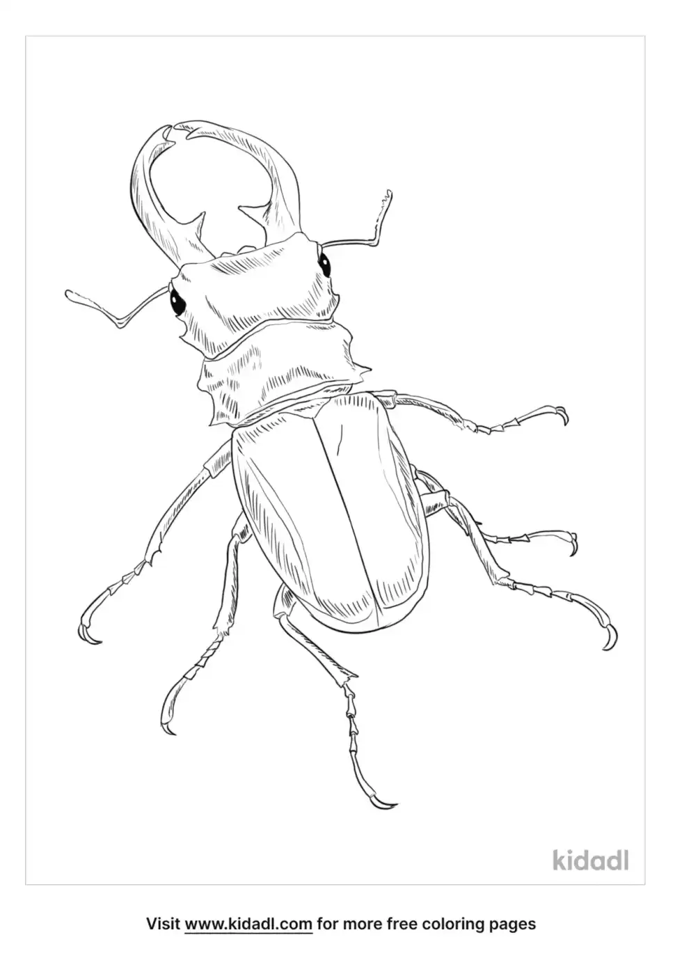 Giant Stag Beetle Coloring Page