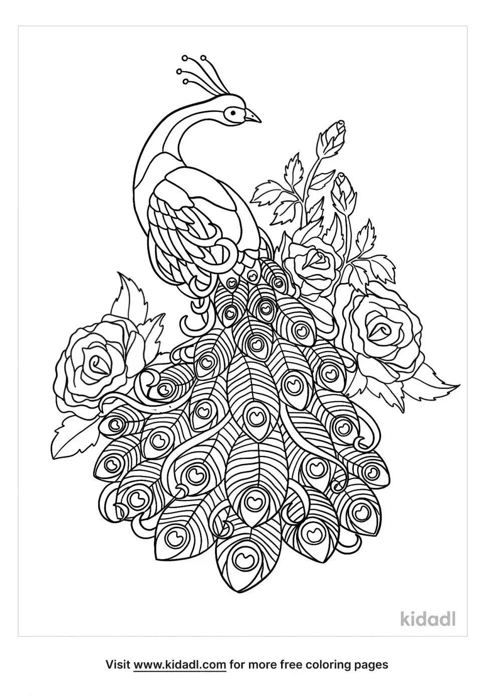Peacock And Roses Coloring Page