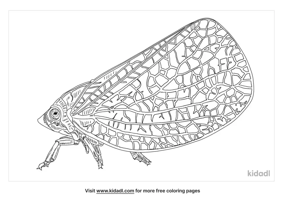 Planthopper Coloring Page