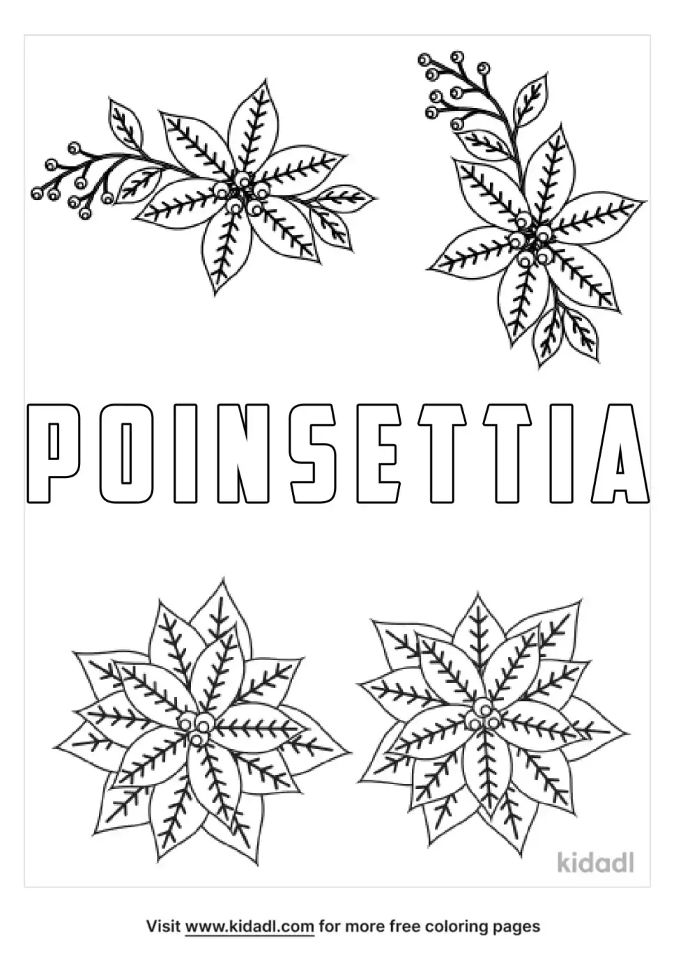 Poinsettia Coloring Page