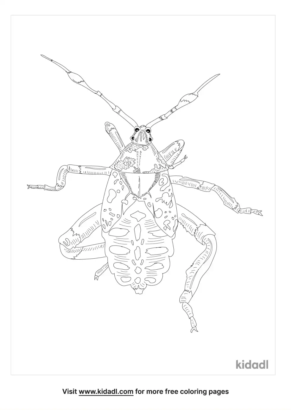 Giant Mesquite Bug Coloring Page