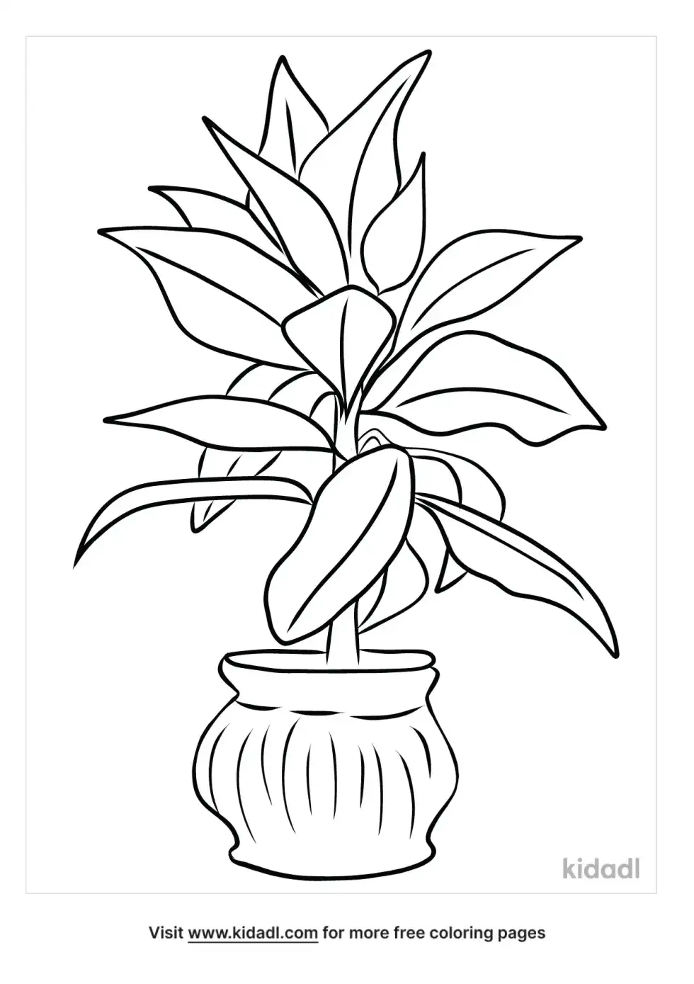Croton Coloring Page