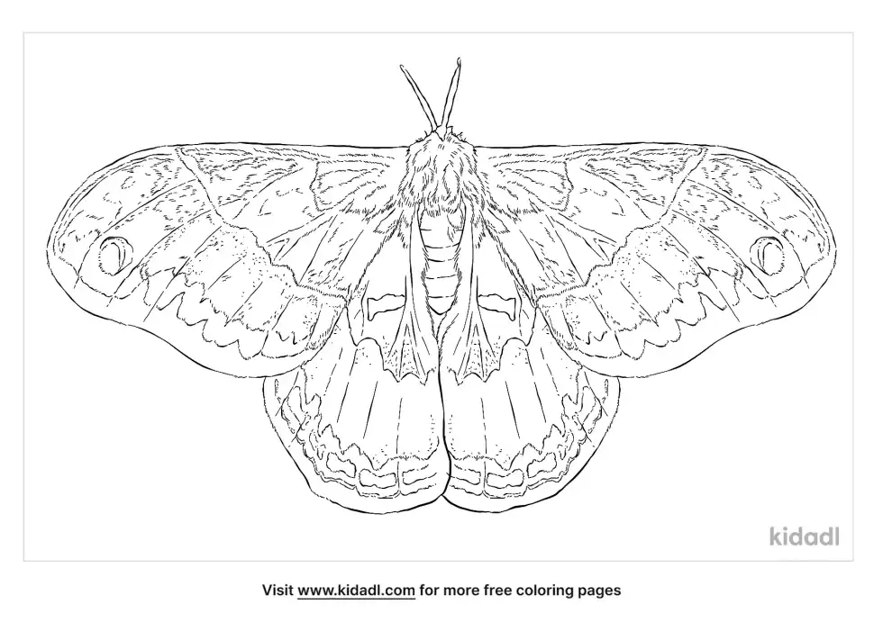 Promethea Moth Coloring Page