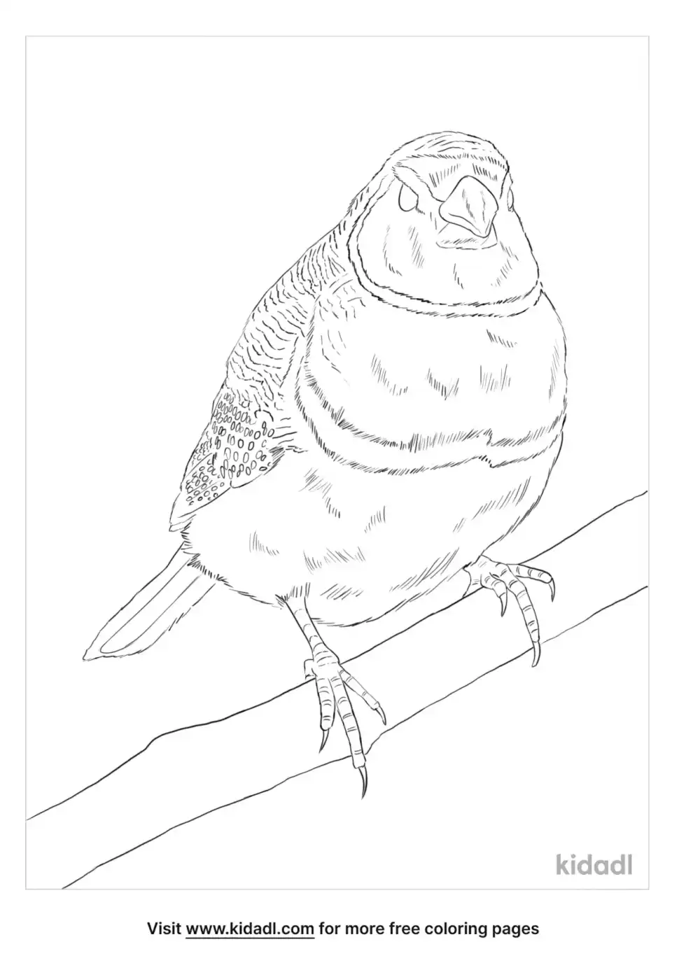 Double Barred Coloring Page