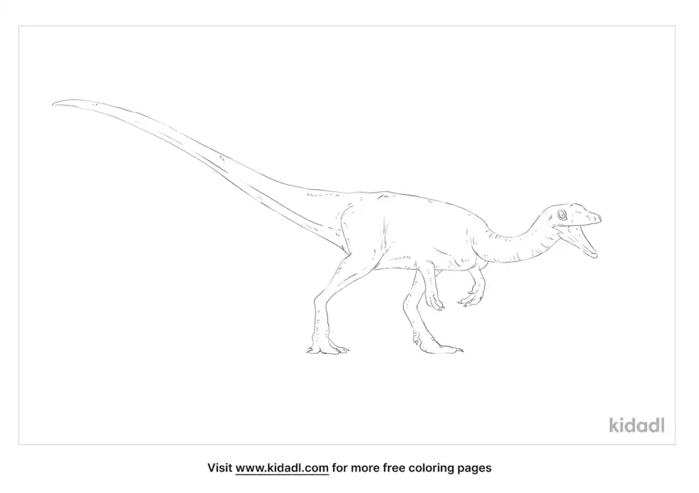 Buriolestes Coloring Page