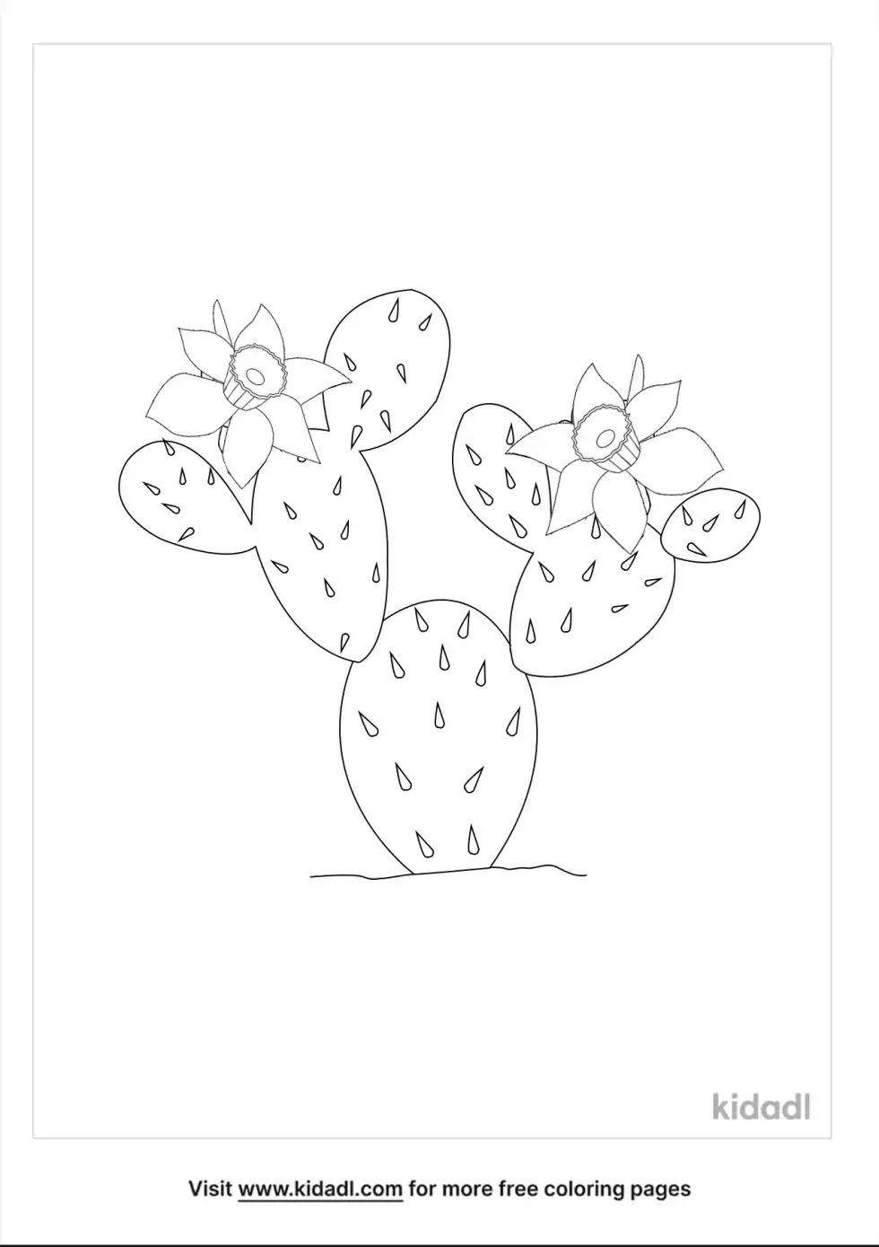 Arizona State Flower Coloring Page