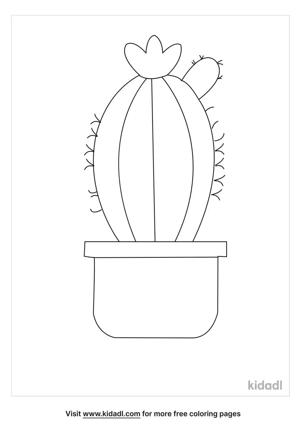 Toumeya Papyracantha Coloring Page