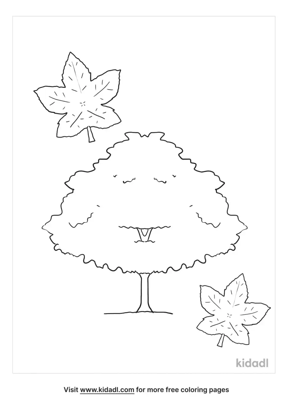 Rhode Island Red Maple Coloring Page