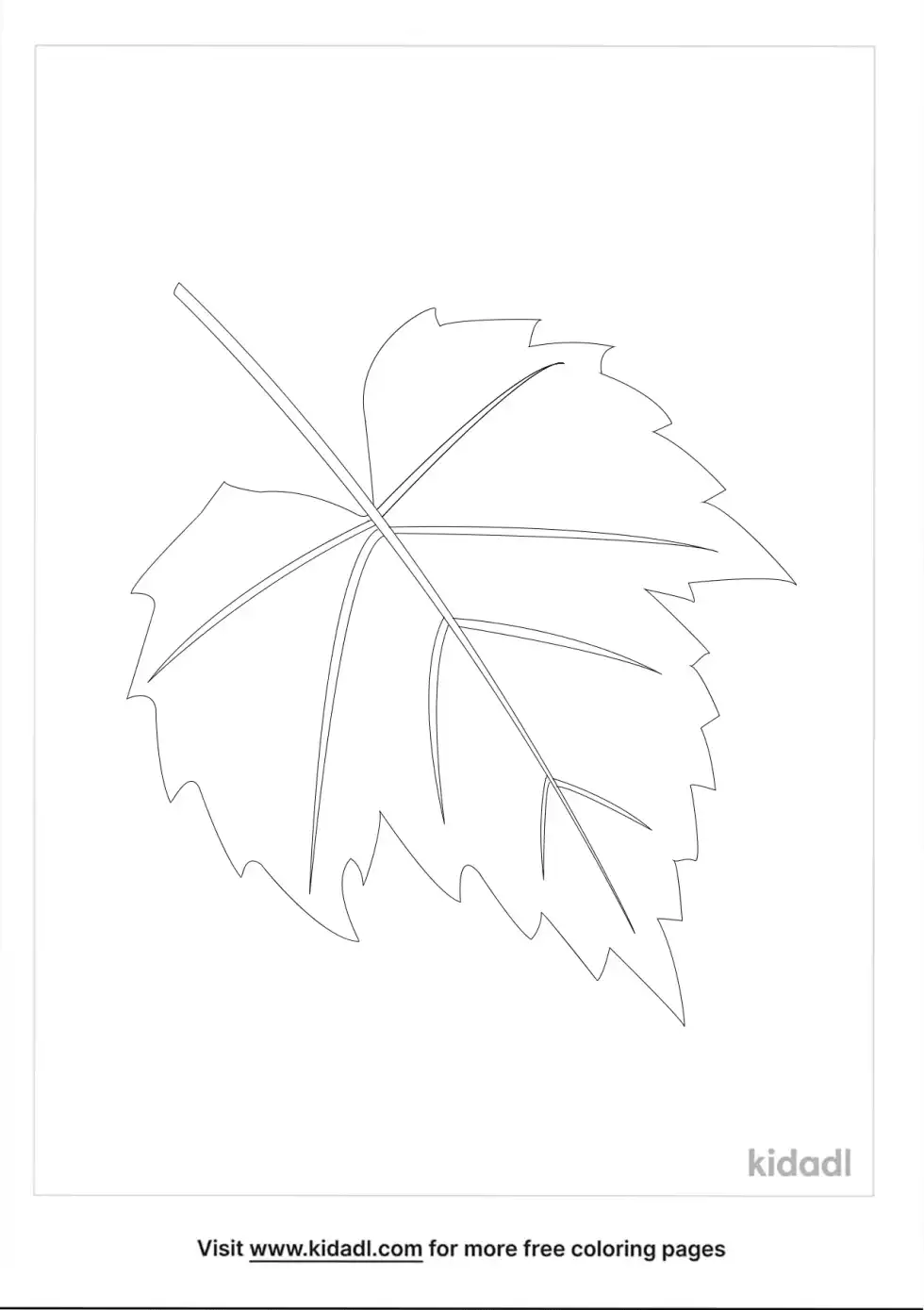 Grape Leaf Coloring Page