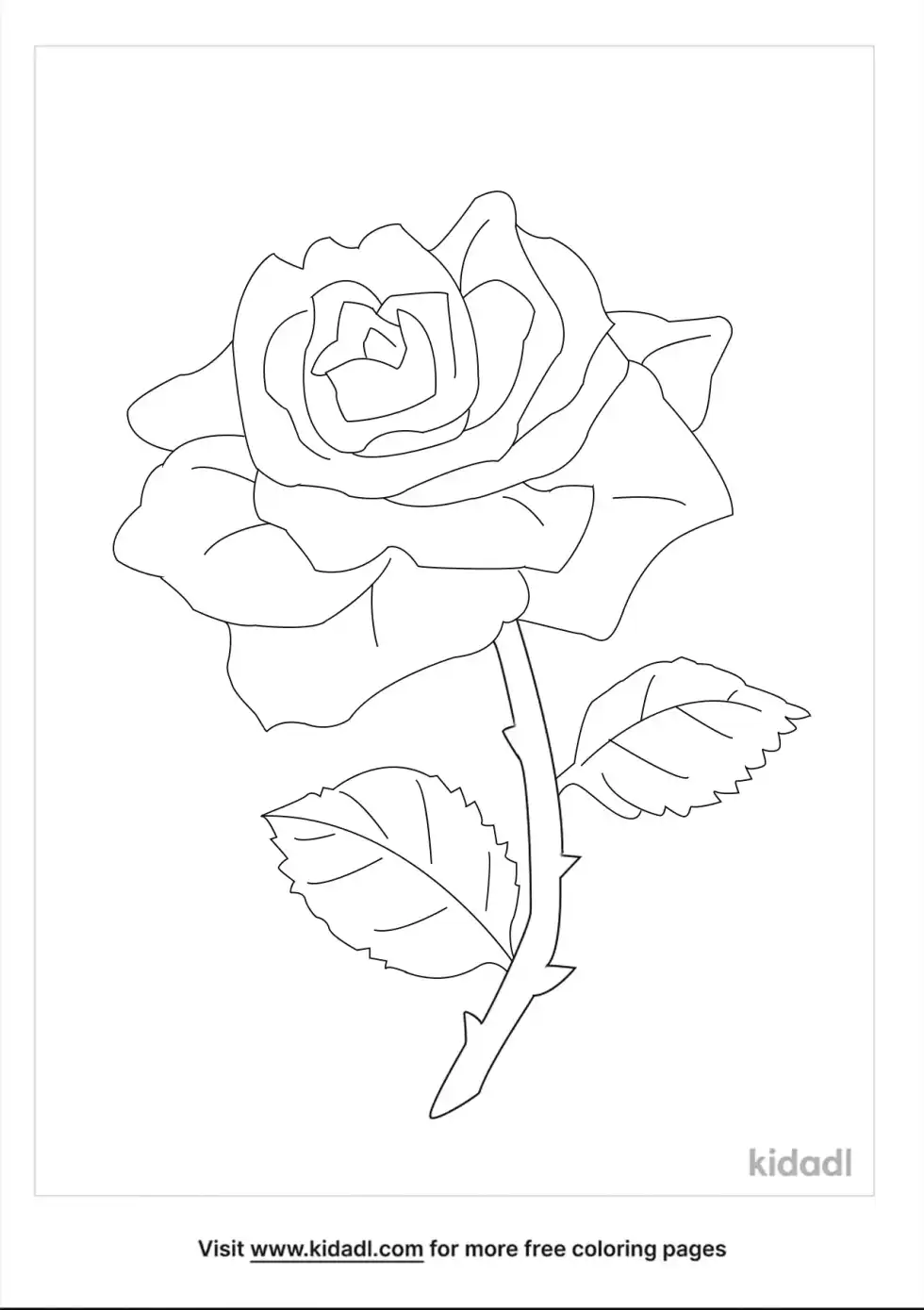 Arizona Grandiflora Rose Coloring Page