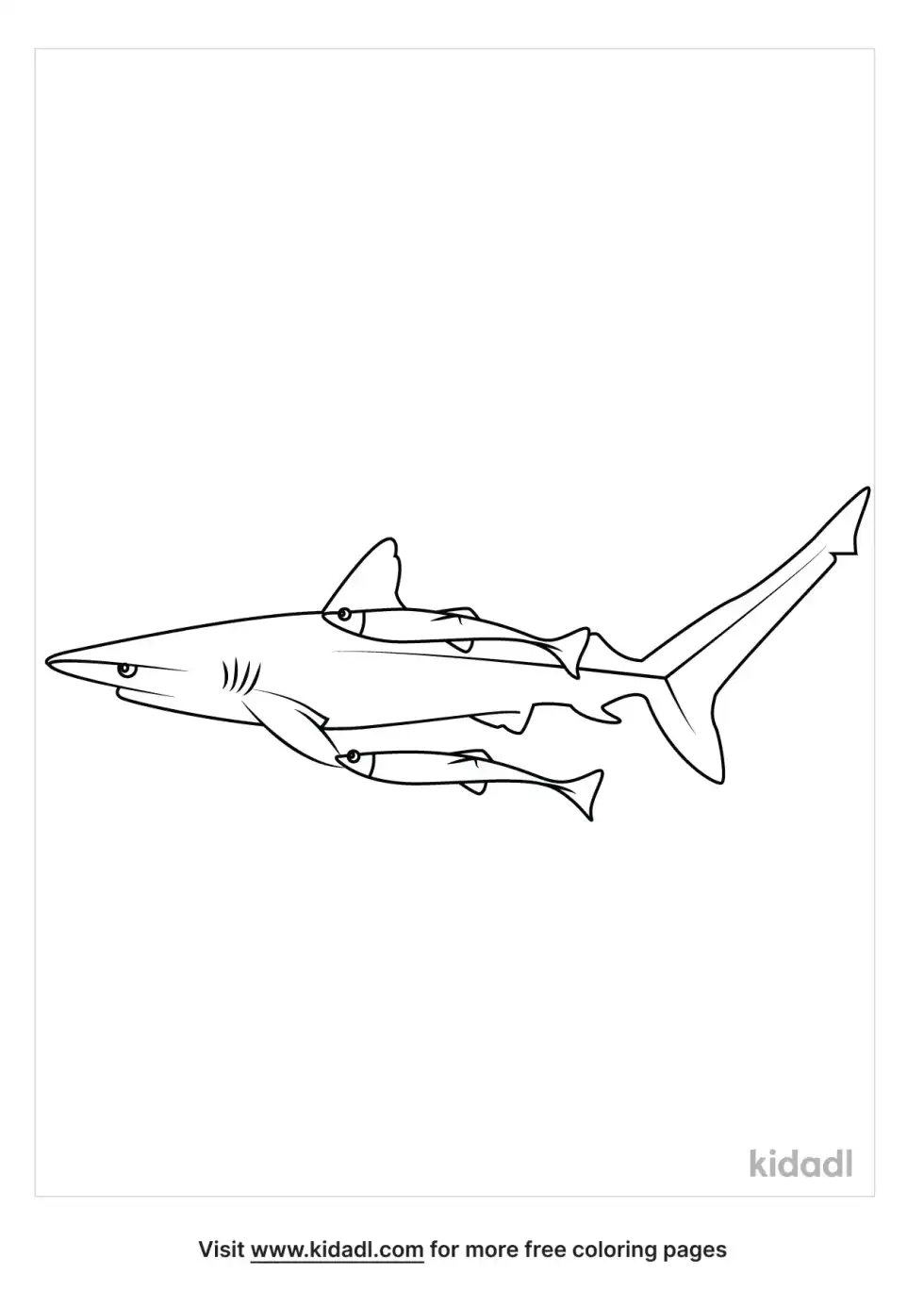 Remora Fish Coloring Page