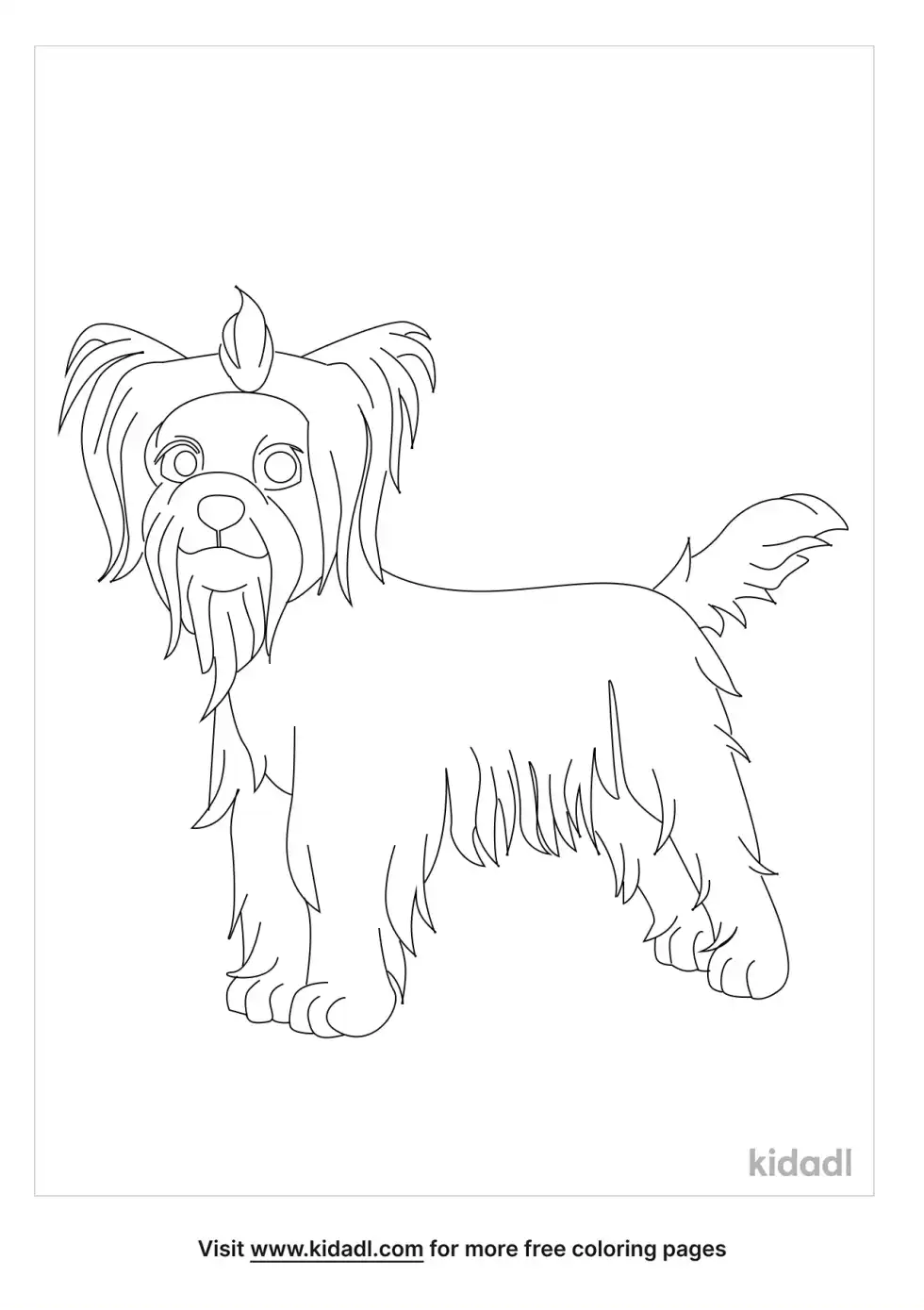 Terrier Coloring Page
