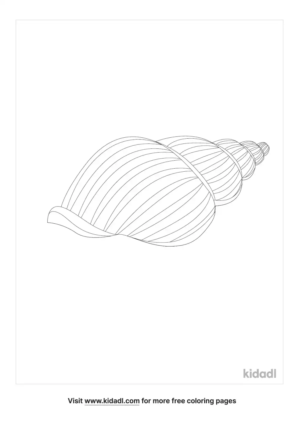 Seashell Scotch Bonnet Coloring Page
