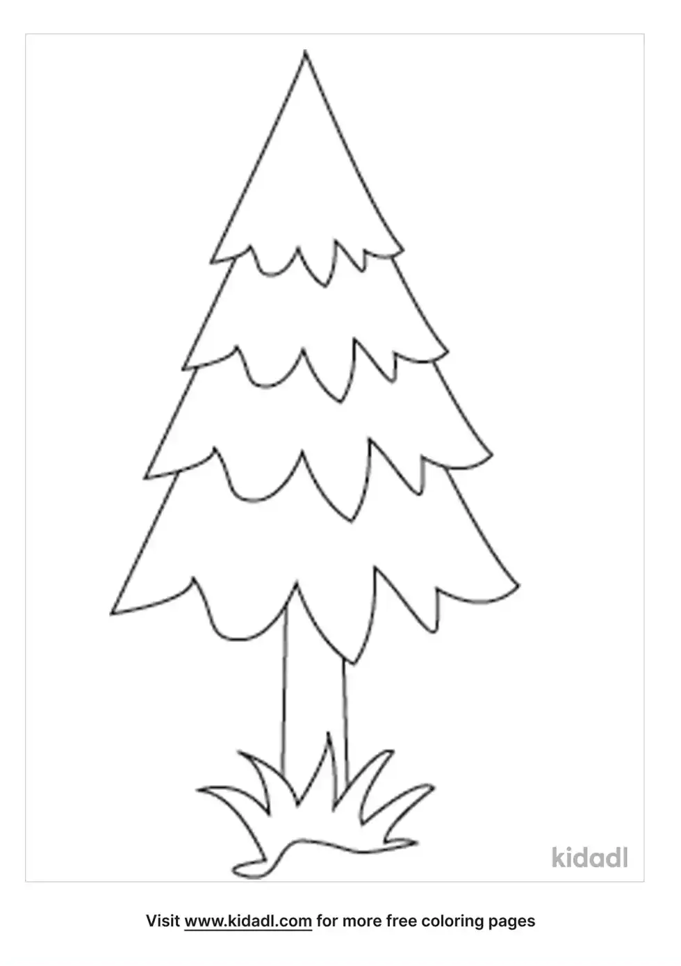 Pine Tree Coloring Page