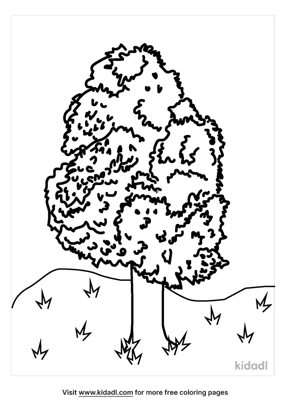 Chestnut Tree Coloring Page
