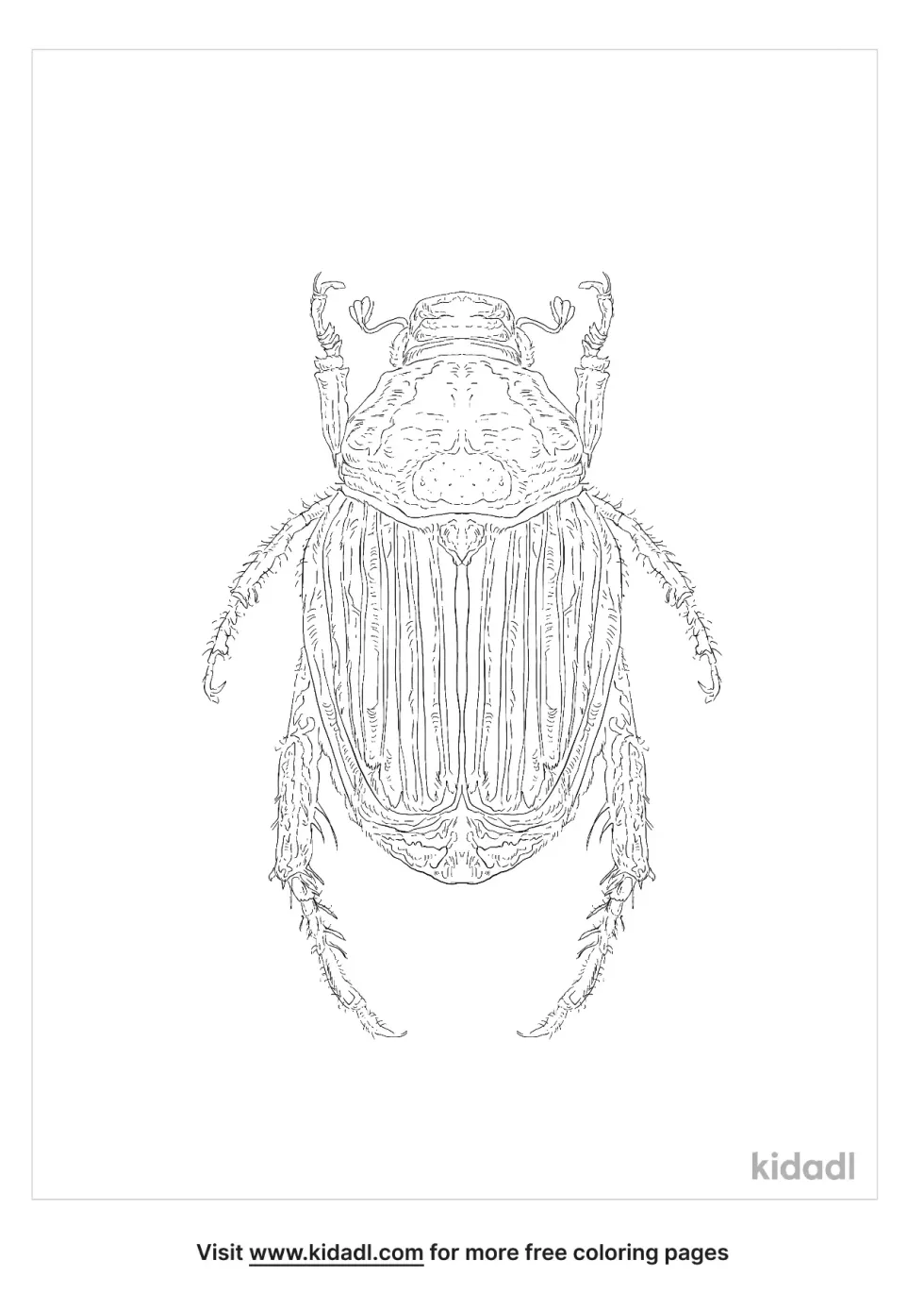 Japanese Beetle Coloring Page