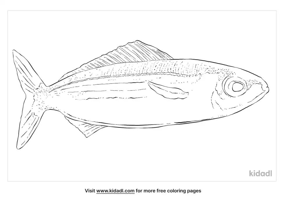Bogue Coloring Page