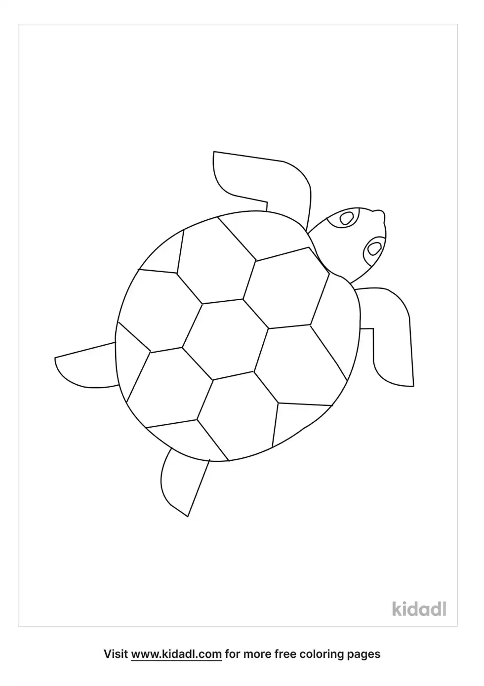Terrapin Coloring Page