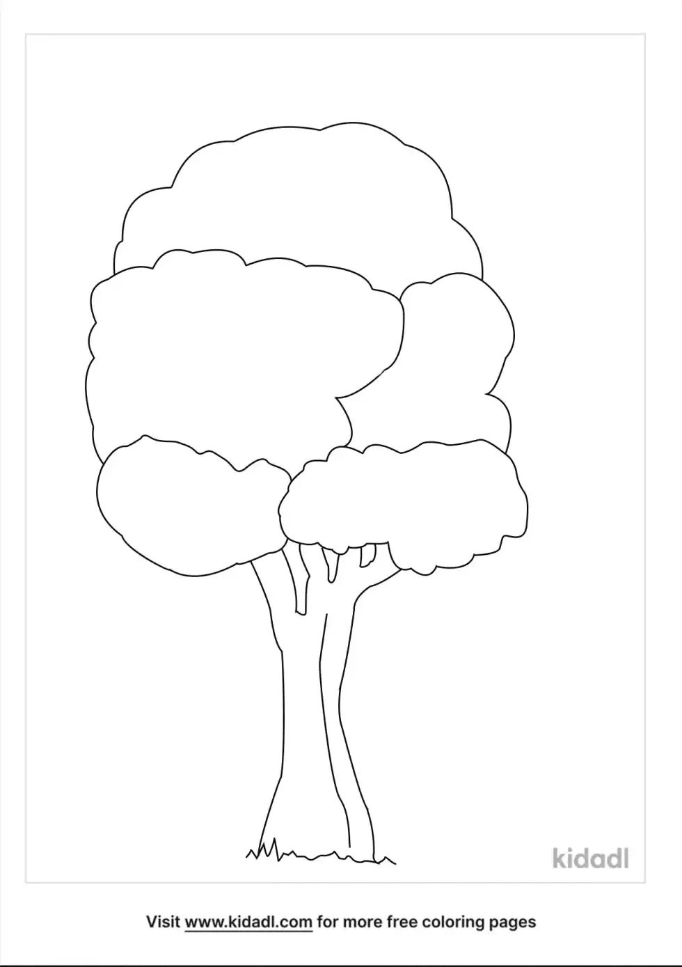 Ash Tree Coloring Page