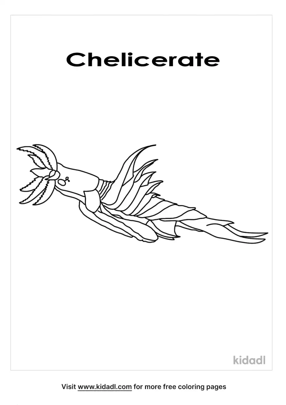 Chelicerate Coloring Page