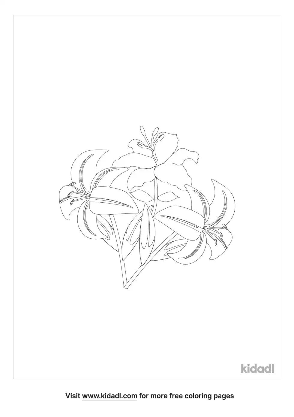 Orchids And Lilies Coloring Page