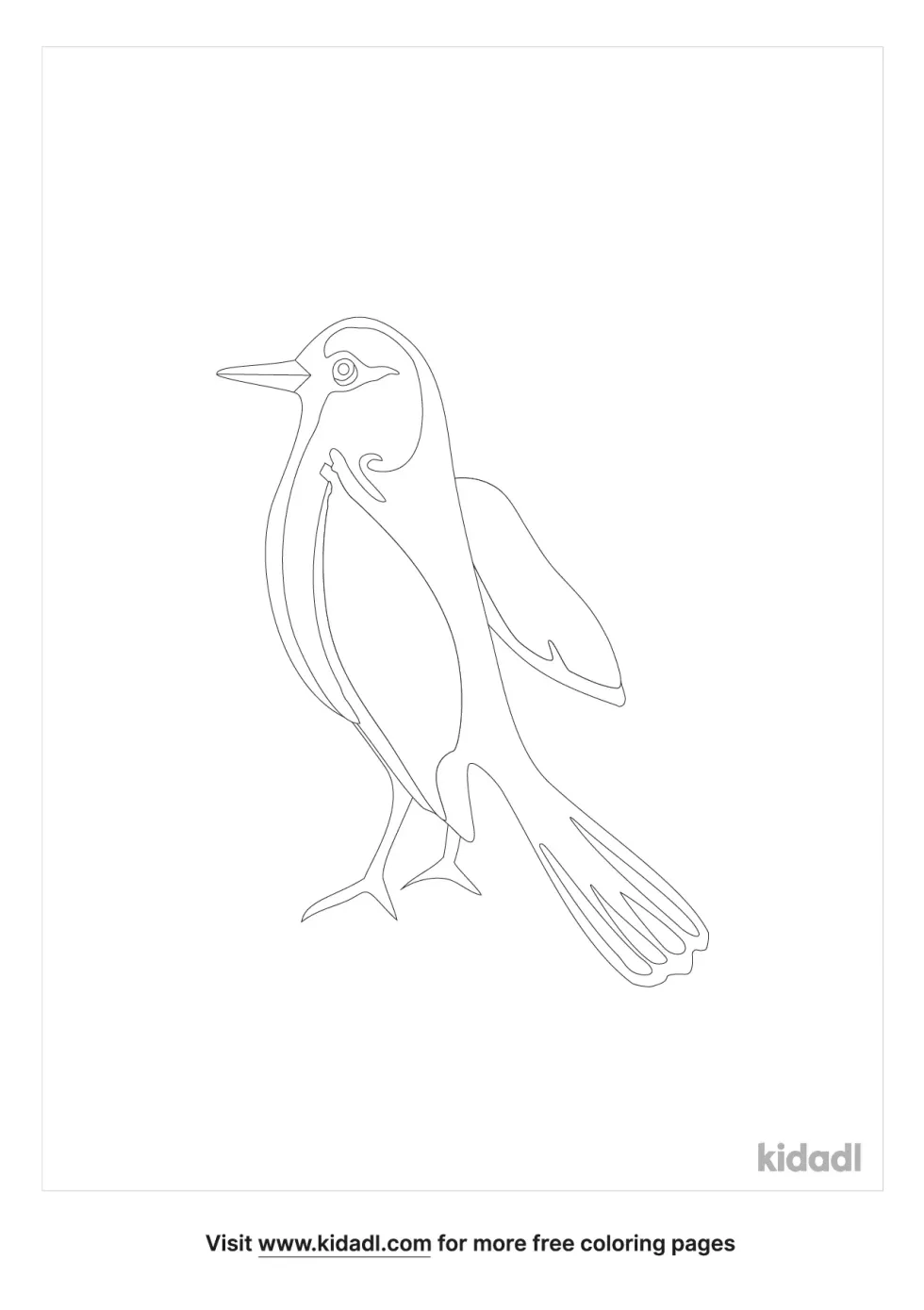 Oriole Coloring Page
