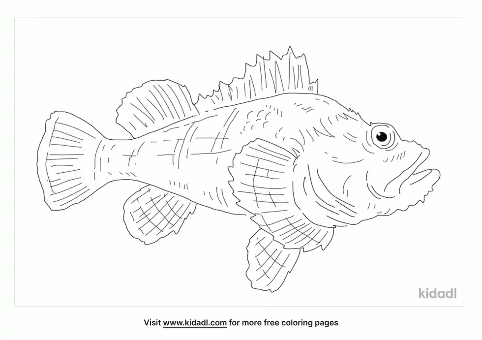 California Scorpionfish Coloring Page