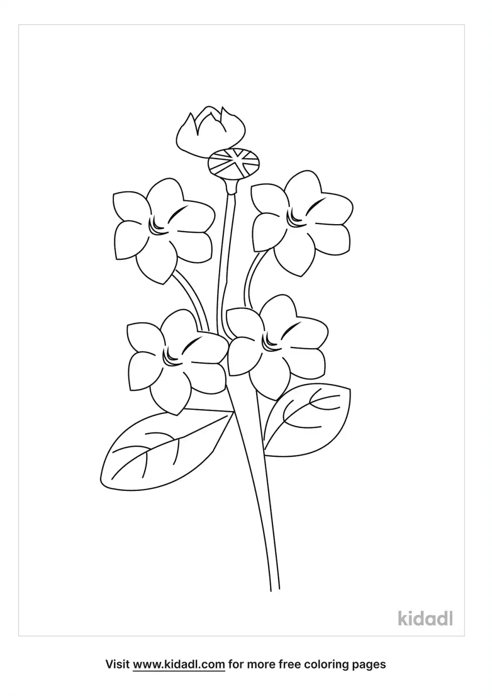 State Flower Of Pennsylvania Coloring Page