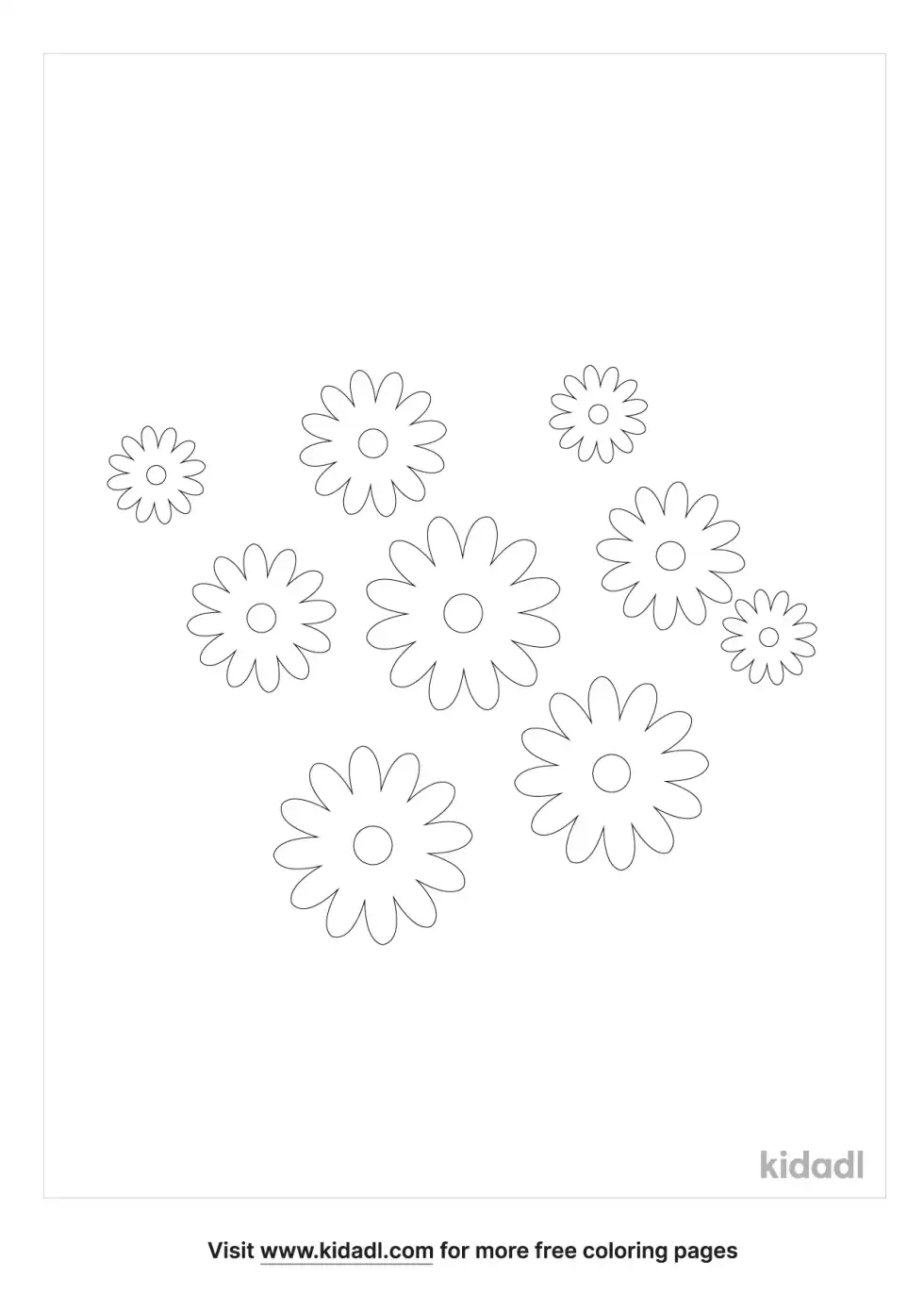 African Daisy Coloring Page