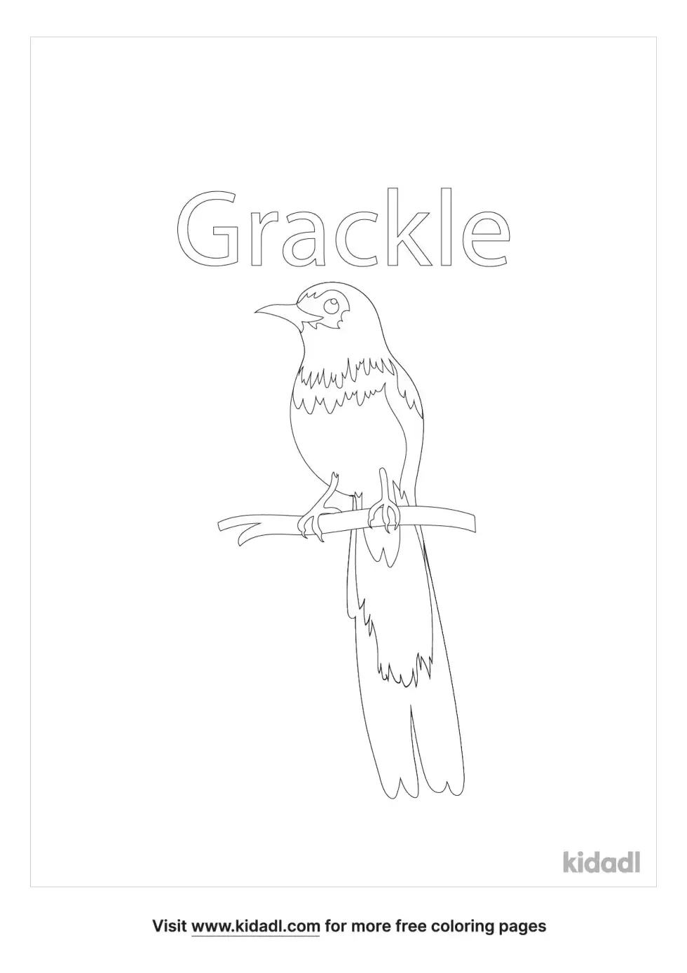 Grackle Coloring Page