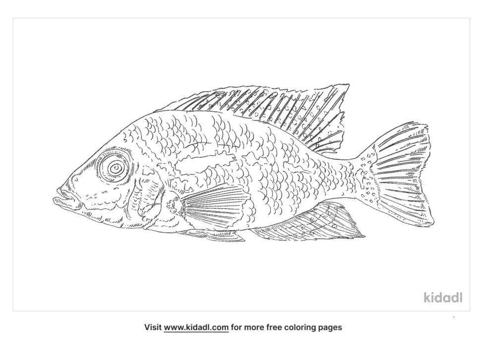 Tomtate Coloring Page