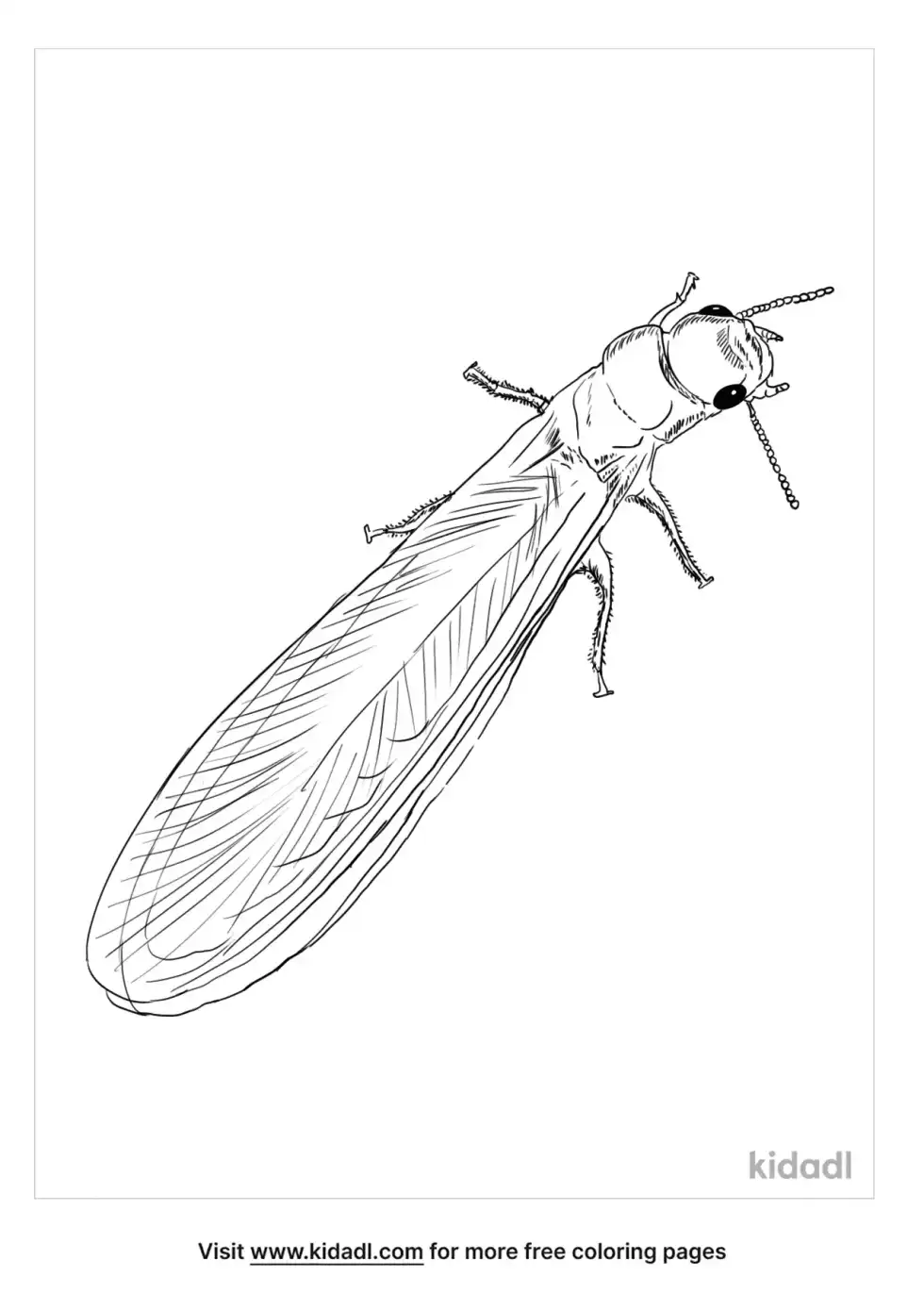 Termite Coloring Page