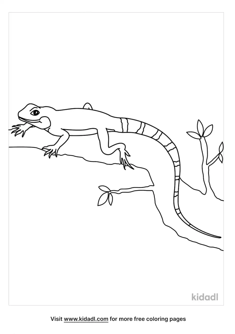Chinese Water Dragon Coloring Page
