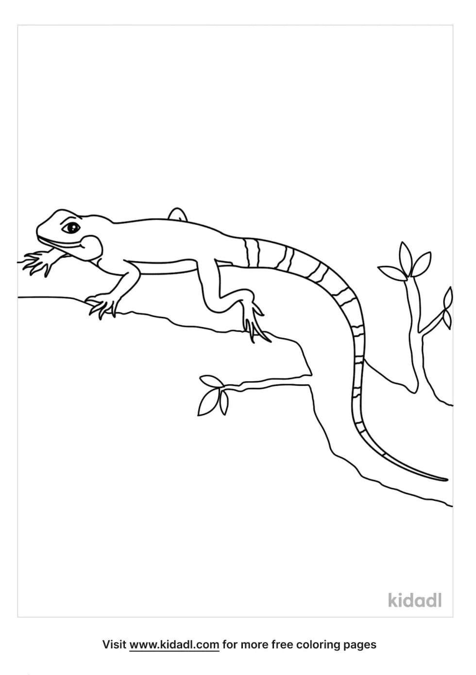 Chinese Water Dragon Coloring Page