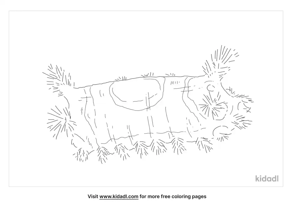 Saddleback Caterpillar Coloring Page