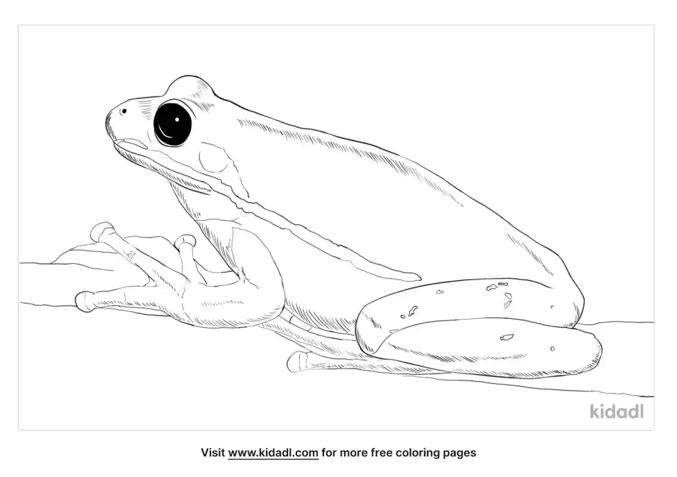 Green Tree Frogs Coloring Page