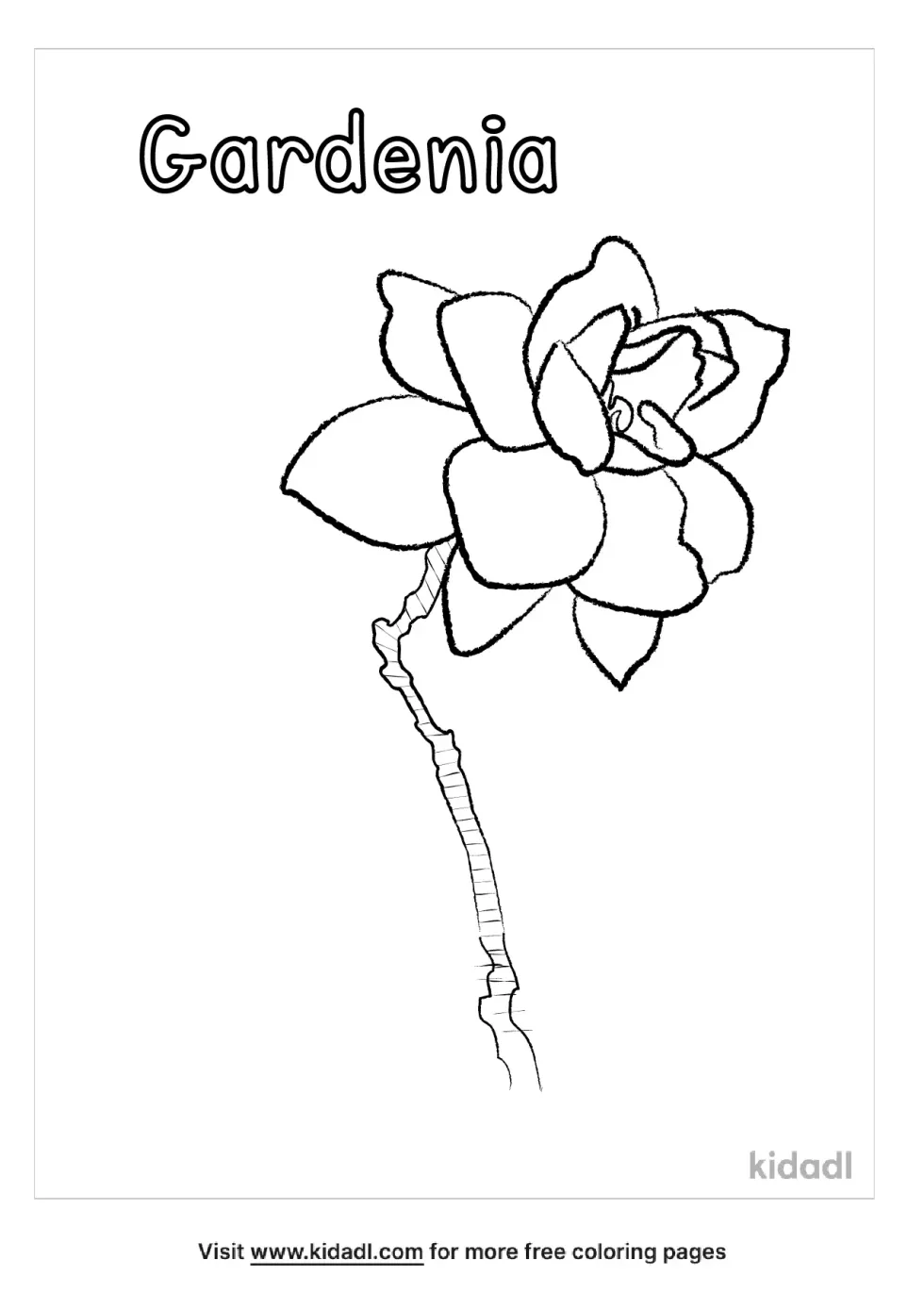 Gardenia Coloring Page