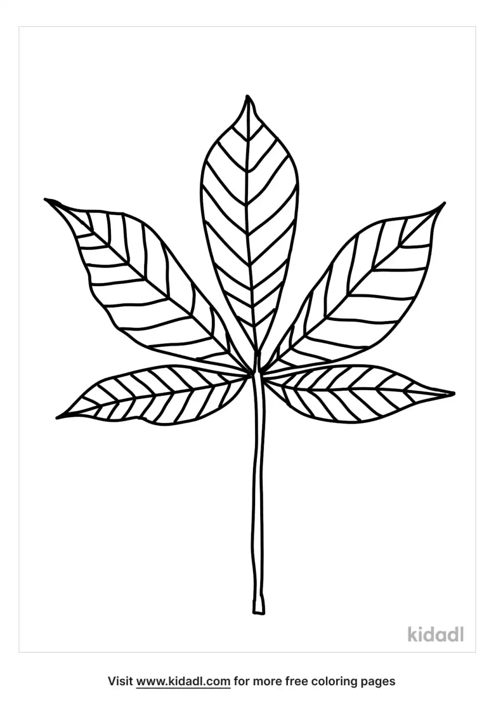 Buckeye Leaf Coloring Page