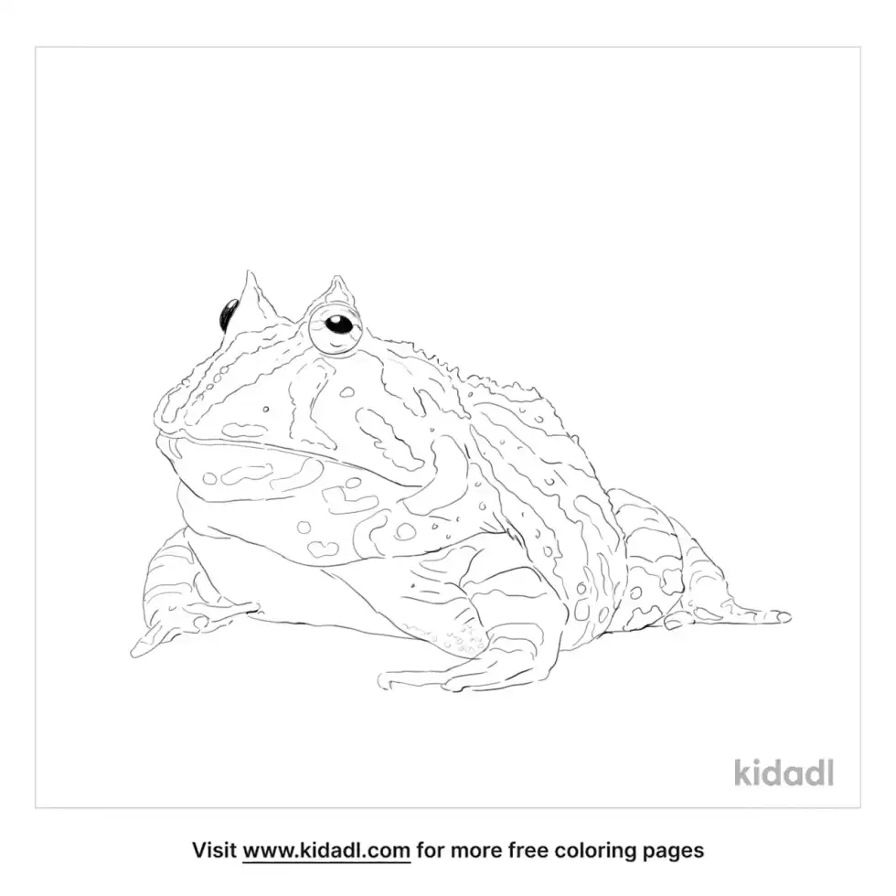 Horned Frog Coloring Page