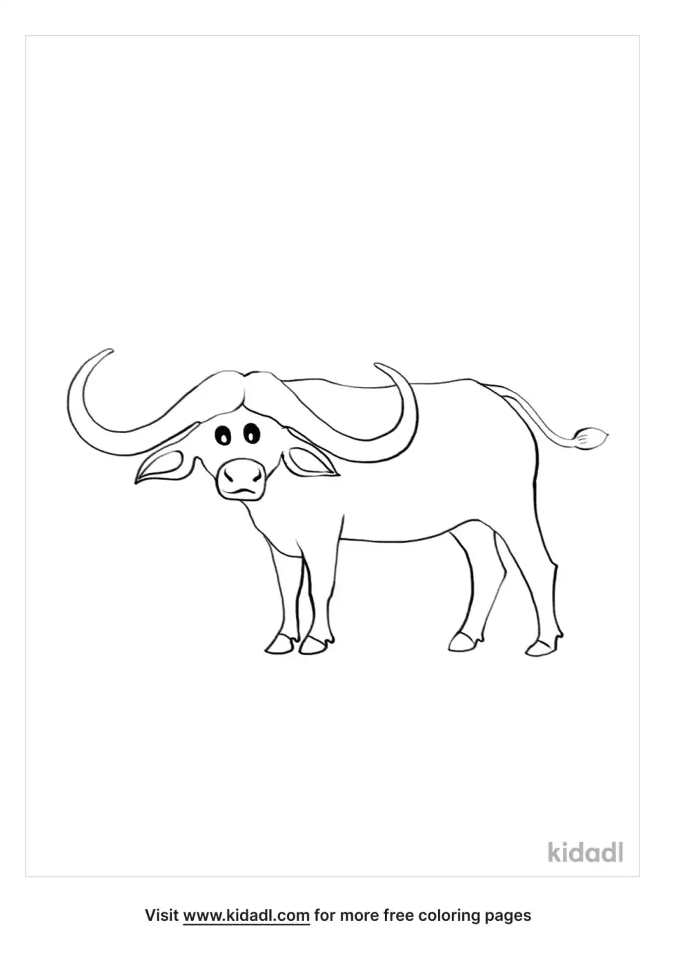 Cape Buffalo Coloring Page