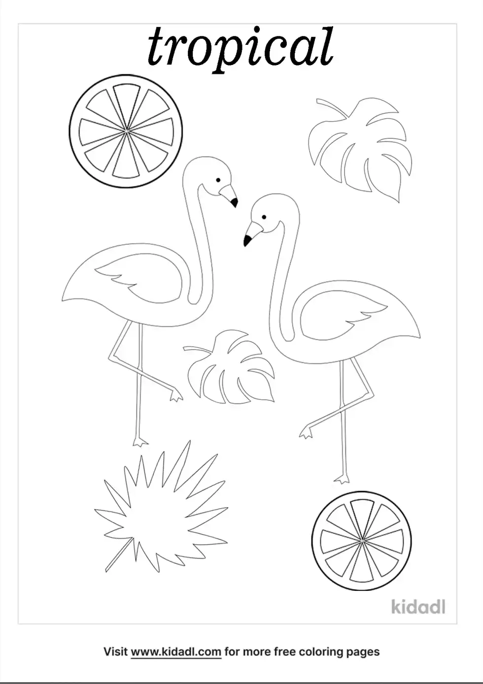 Tropical Coloring Page