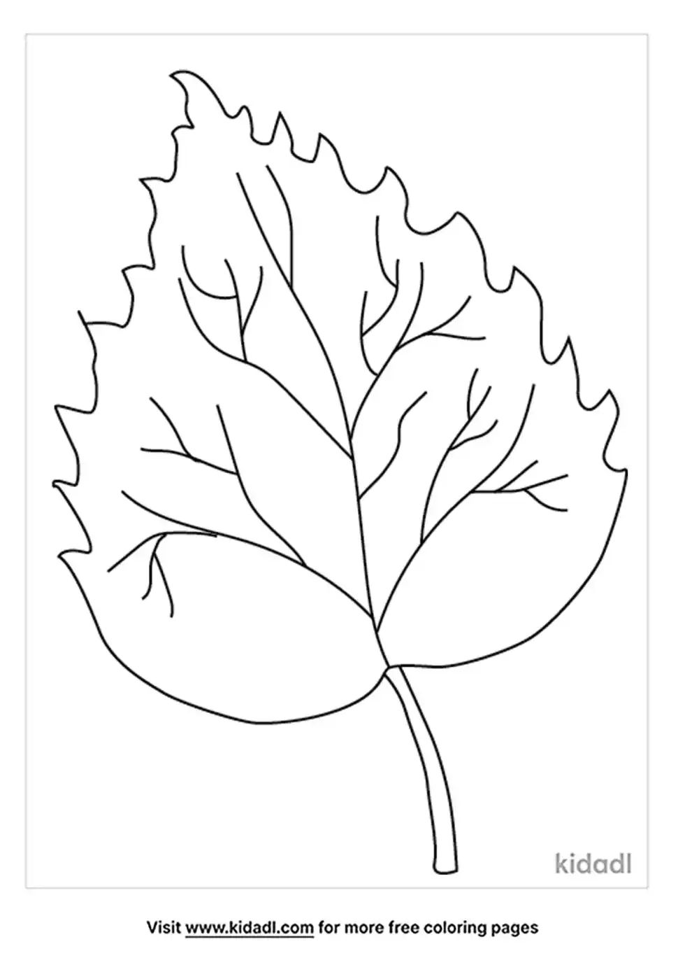 Birch Leaf Coloring Page