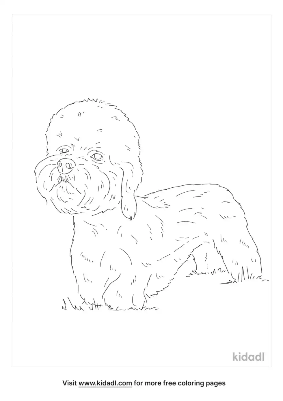 Dandie Dinmont Terrier Coloring Page