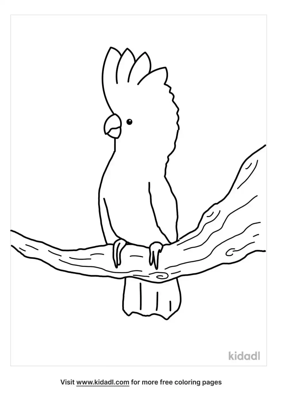 Umbrella Cockatoo Coloring Page