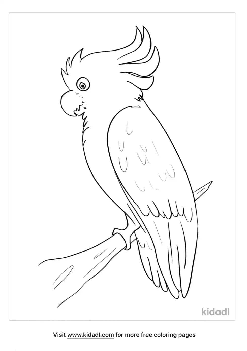 Umbrella Bird Coloring Page