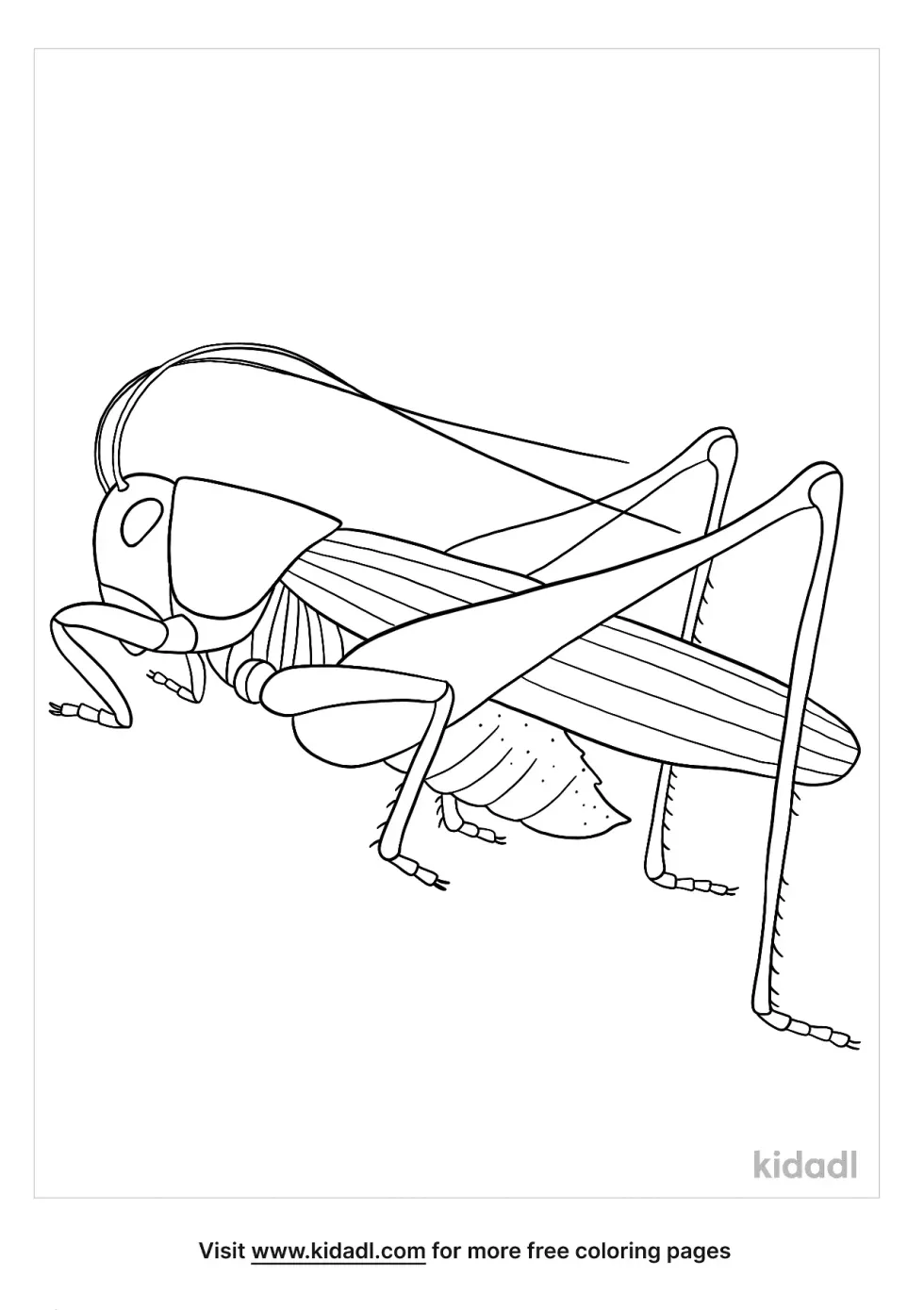 Locust Coloring Page