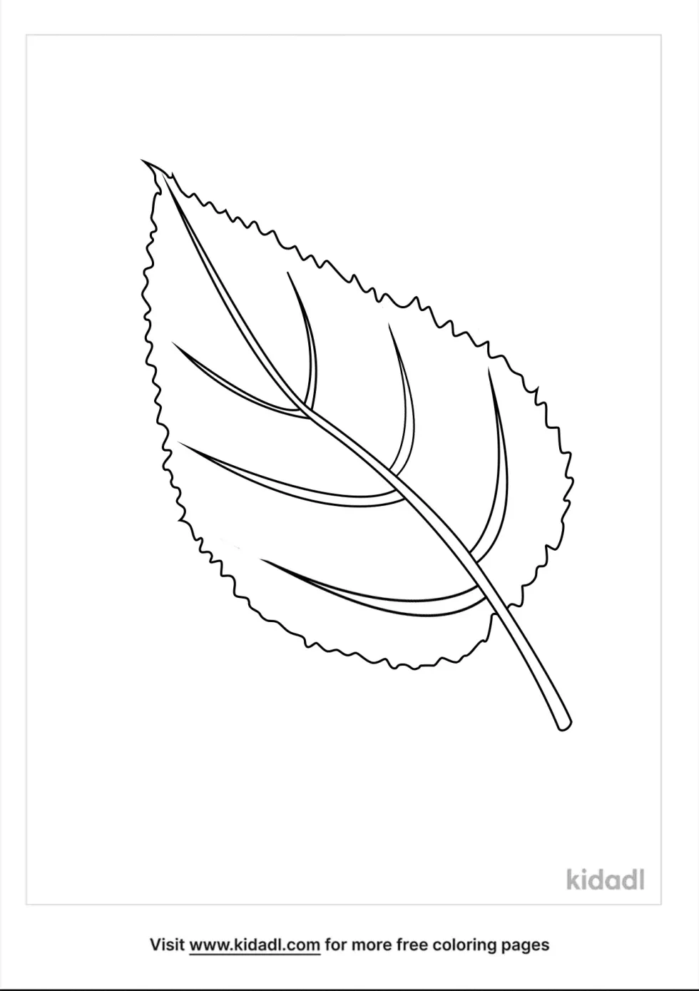 Elm Leaf Coloring Page